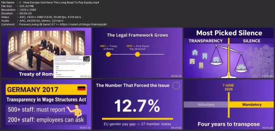 Eu Pay Transparency Directive: Hr Compliance Masterclass