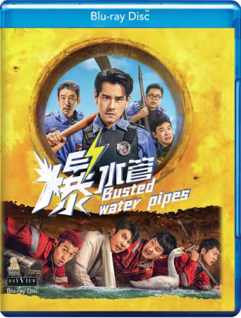 Bao Shui Guan 2026 1080p BluRay x264-GeneMige