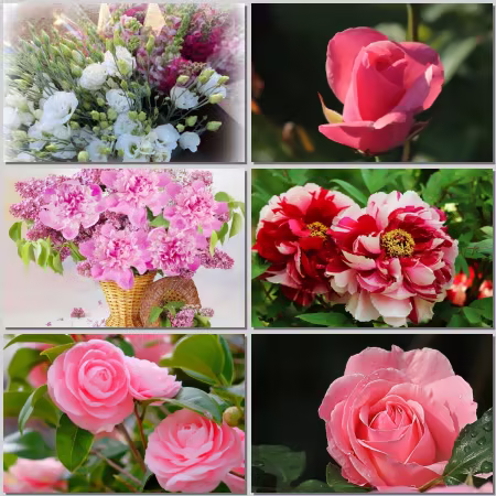 Flower Wallpaper Part 535