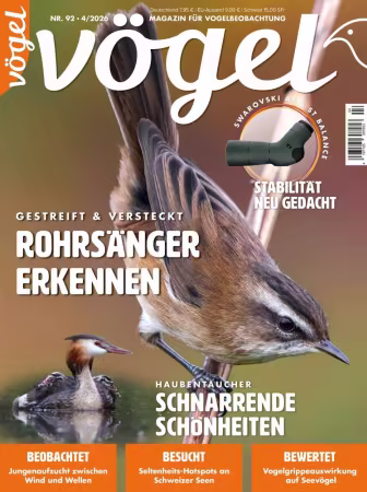 VÖGEL - Nr.04 2026