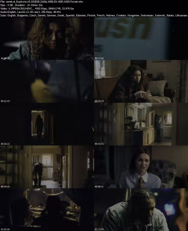 Euphoria US S03E08 2160p WEB DV HDR H265-Forzet