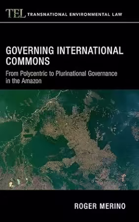 Governing International Commons: From Polycentric to Plurinational Governance in the Amazon