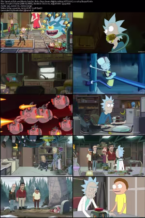 Rick and Morty S09E02 Ricks Days Seven Nights 1080p HDTV AAC2.0 x264-Slurpuff