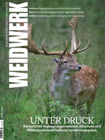 WEIDWERK - Nr.06 2026