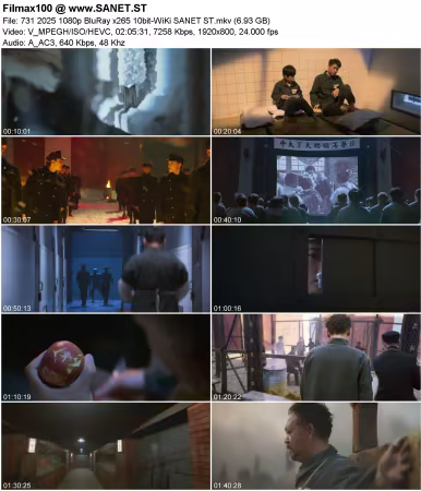 731 2025 1080p BluRay x265 10bit-WiKi