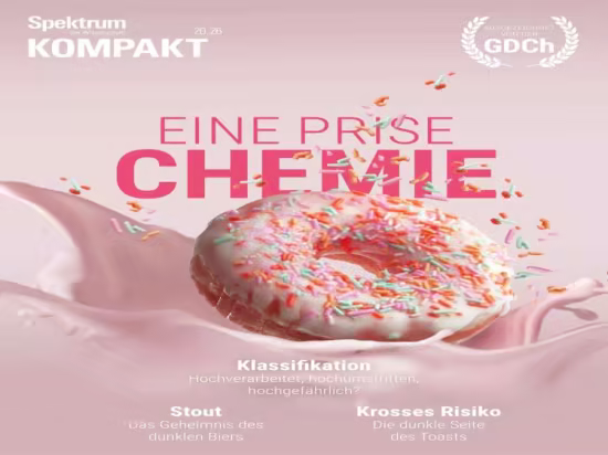 Spektrum Kompakt - Nr.20 2026