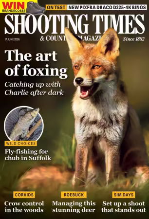Movie cover image
