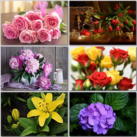 Flower Wallpaper Part 536