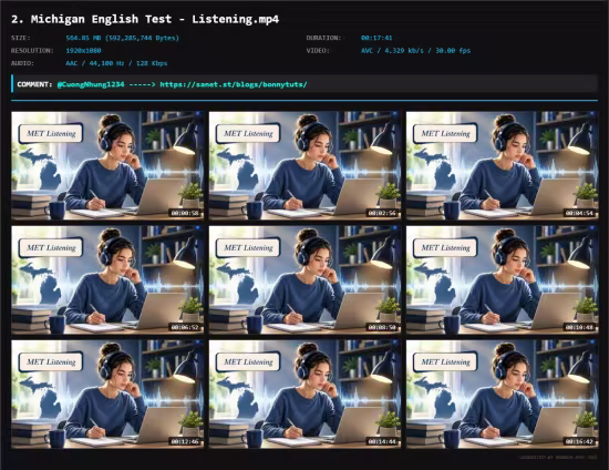 Passing the Michigan English Test