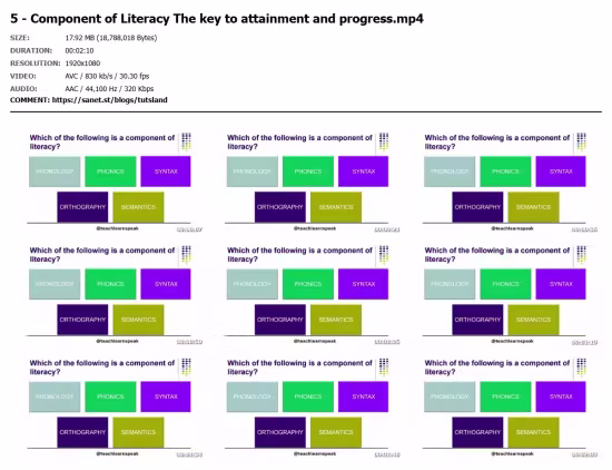 Unveiling The Game-Changer: LIteracy Across the Whole School