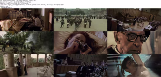 What War May Bring 2010 BDRip H264-CG