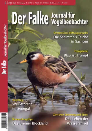 Der Falke - Nr.06 2026