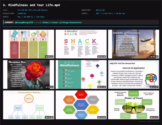 EIQ2 Mind Magic With Mindfulness