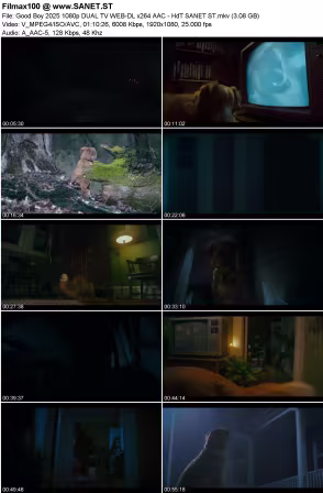 Good Boy 2025 1080p DUAL TV WEB-DL x264 AAC - HdT