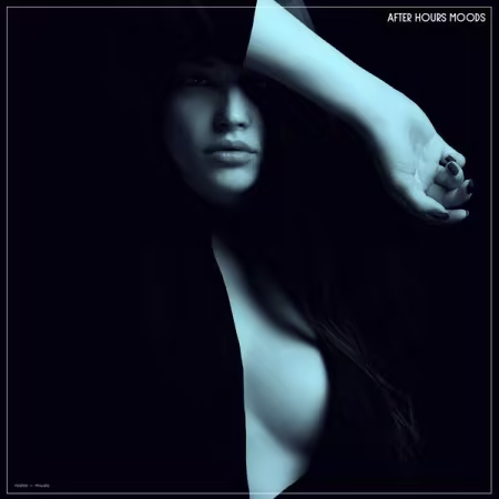 Various Artists - After Hours Moods (2026)