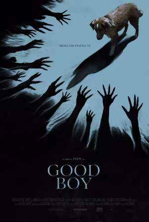 Good Boy 2025 1080p DUAL TV WEB-DL x264 AAC - HdT