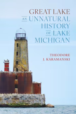 Movie cover image