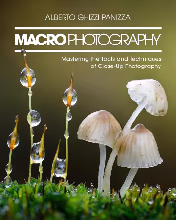 Movie cover image