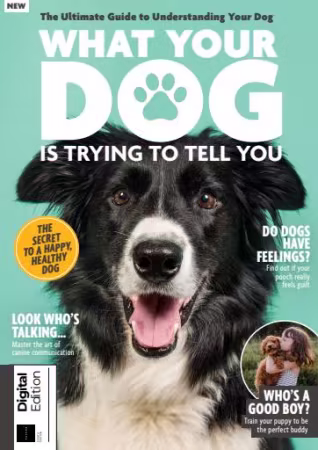 Movie cover image