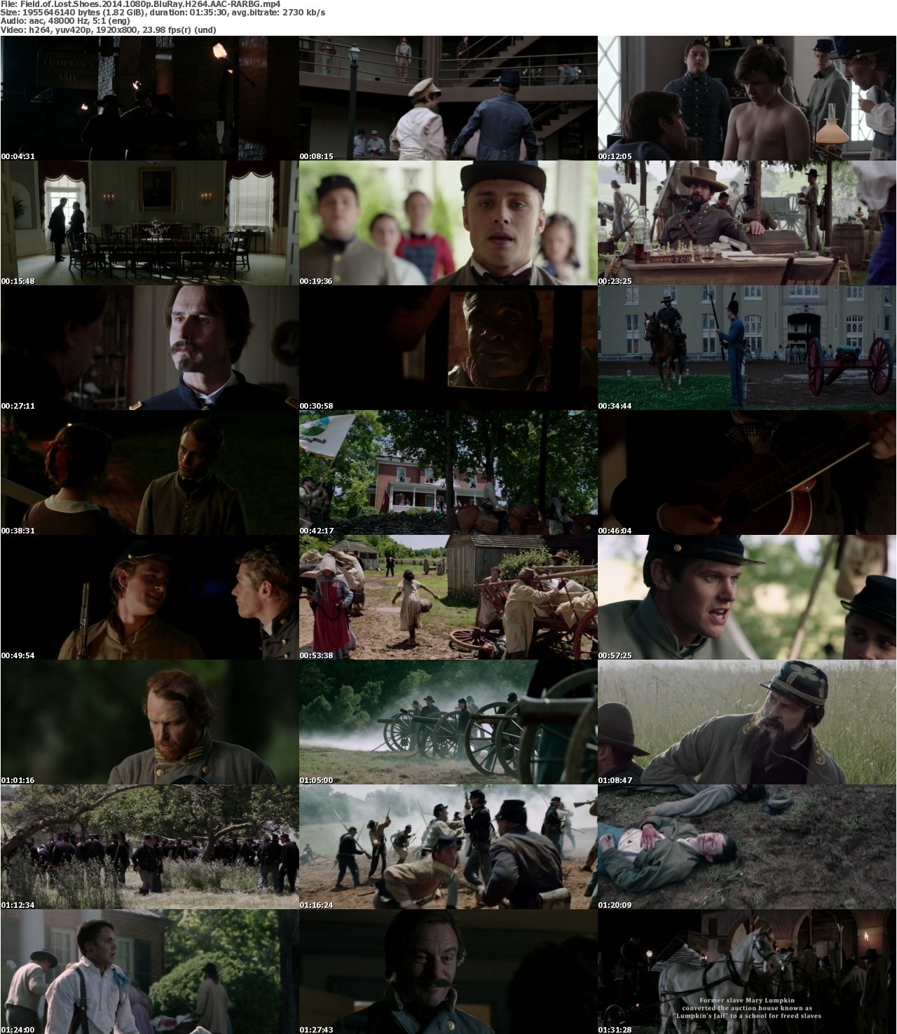 Field of Lost Shoes 2014 1080p BluRay H264 AAC-RARBG