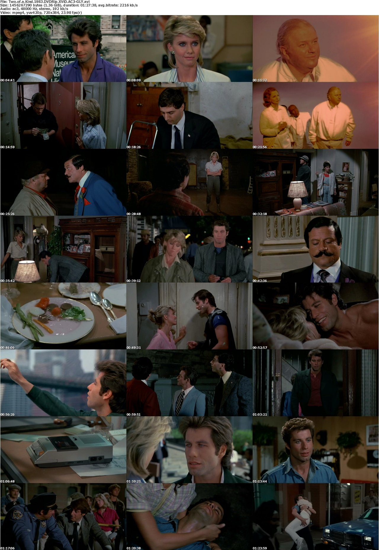 Two of a Kind 1983 DVDRip XViD AC3-GLY