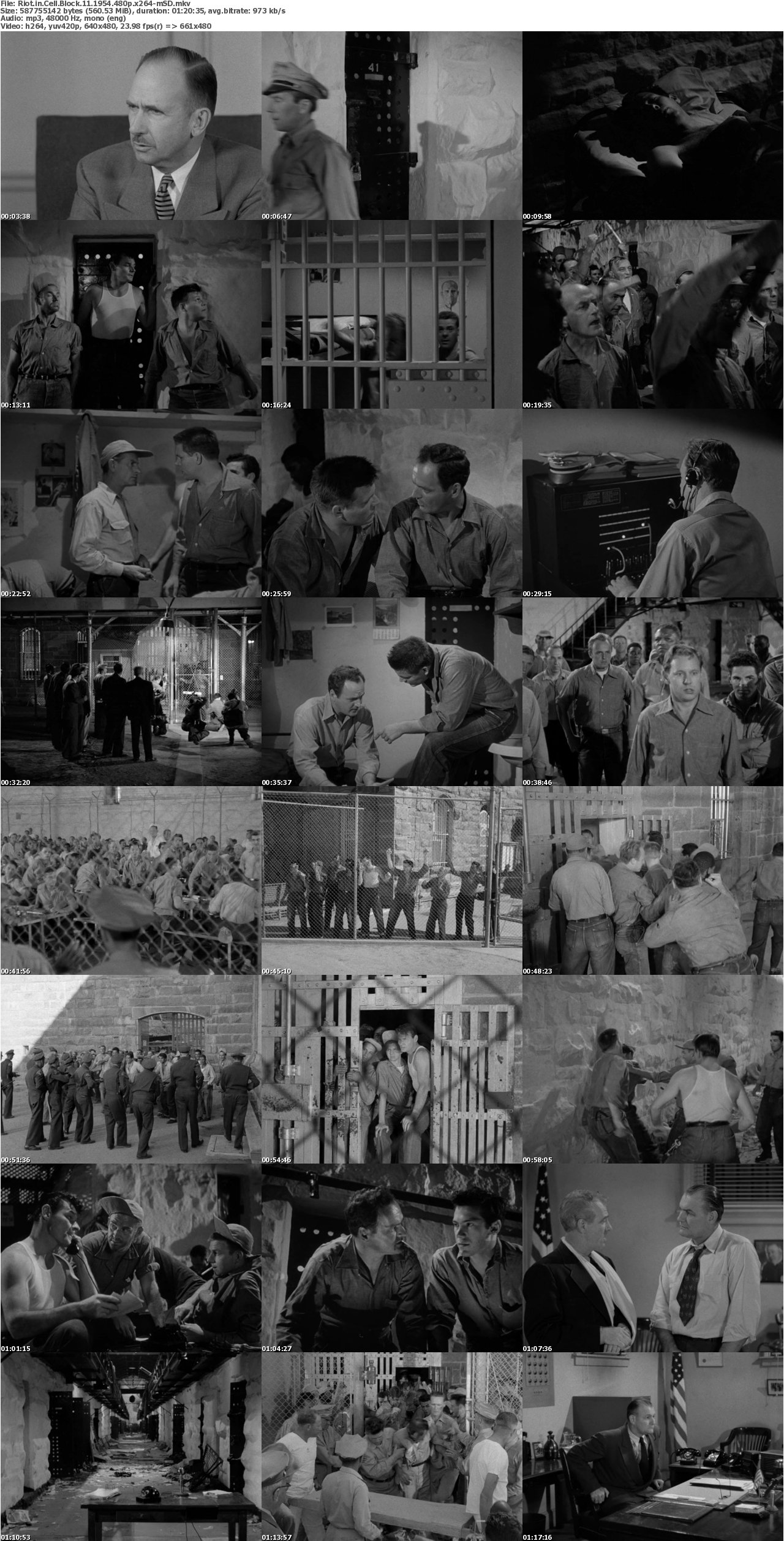 Riot in Cell Block 11 1954 480p x264-mSD