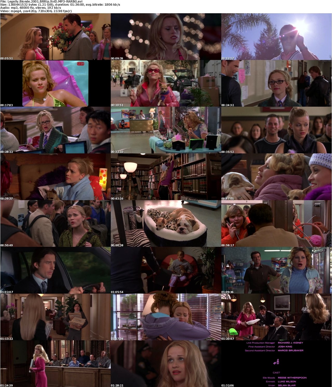 Legally Blonde 2001 BRRip XviD MP3-RARBG