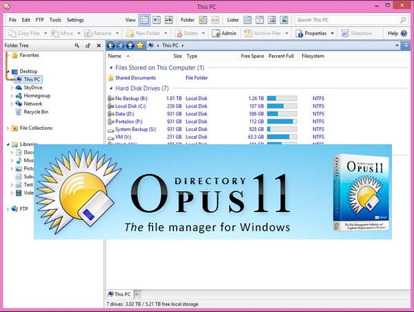 Directory Opus Pro v11.17 Build 5829 (x86/x64) Multilingual 