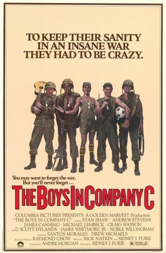 The Boys in Company C 1978 BRRip XviD MP3-RARBG