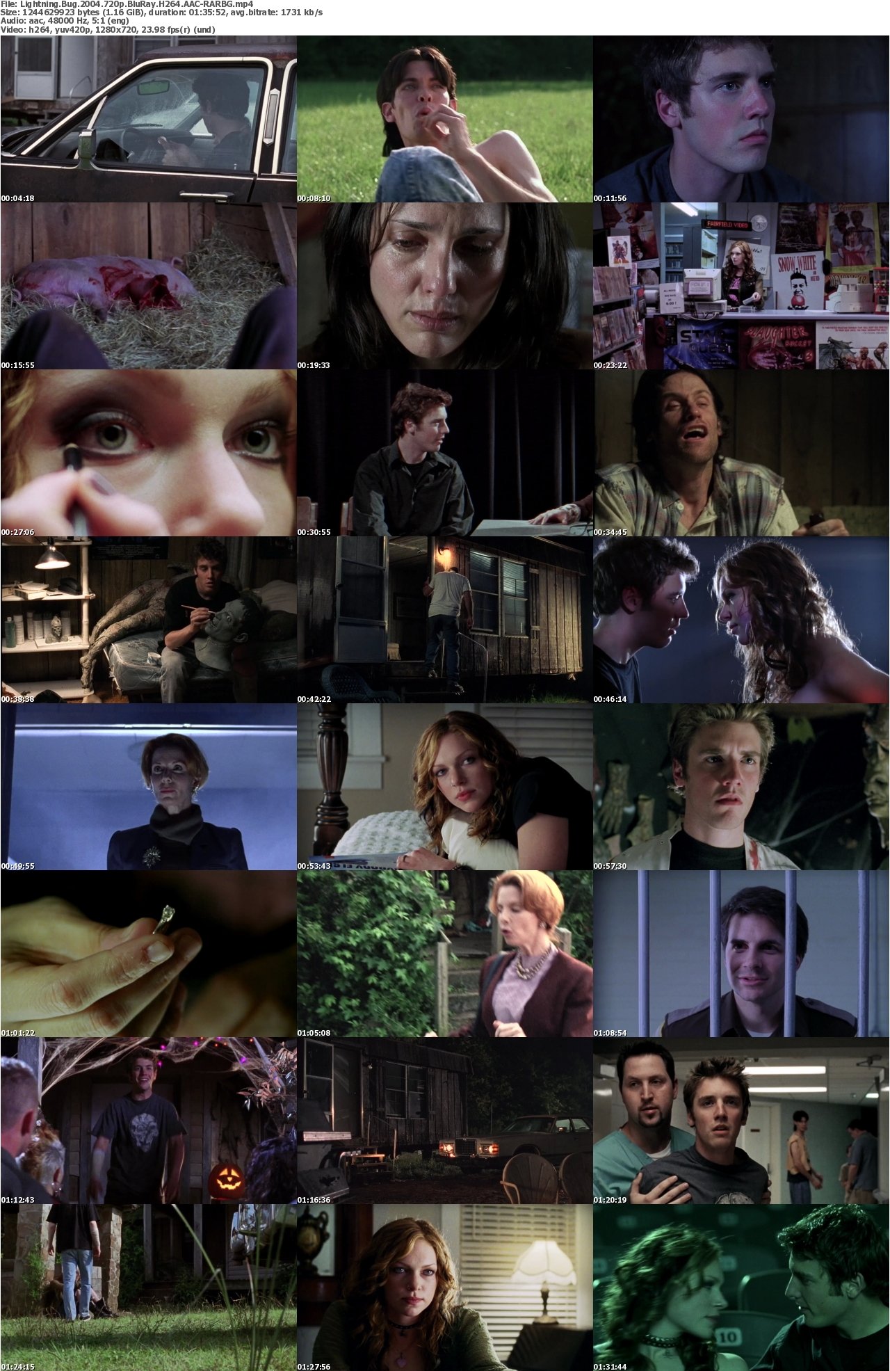 Lightning Bug 2004 720p BluRay H264 AAC-RARBG