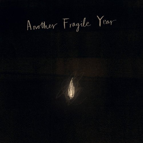 Robin Mitchell - Another Fragile Year (2016)