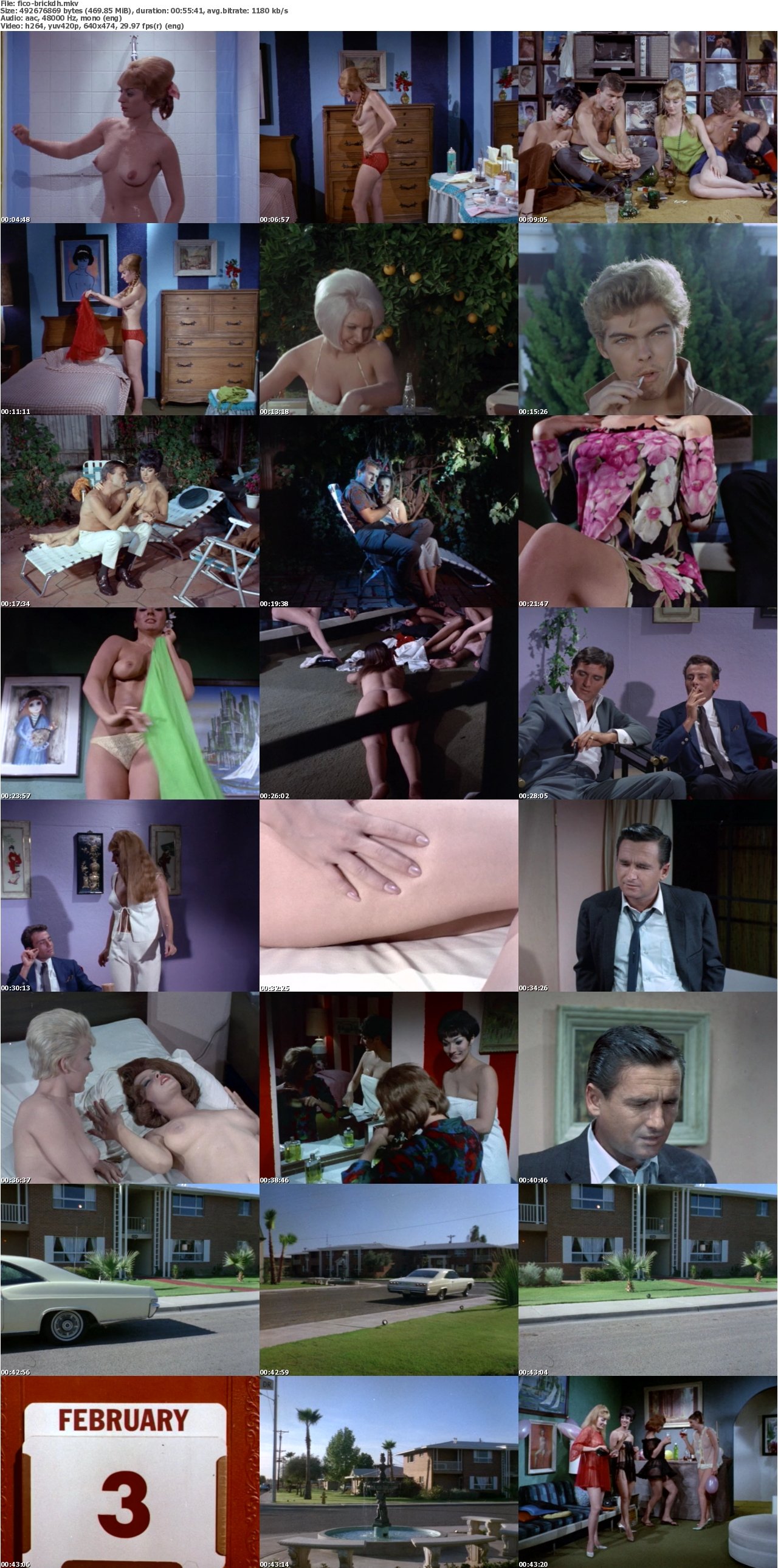 The Brick Dollhouse 1967 DVDRip x264-FiCO