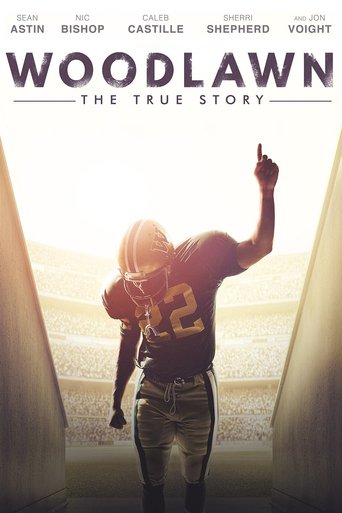 Woodlawn 2015 720p BRRip x264 AAC-ETRG