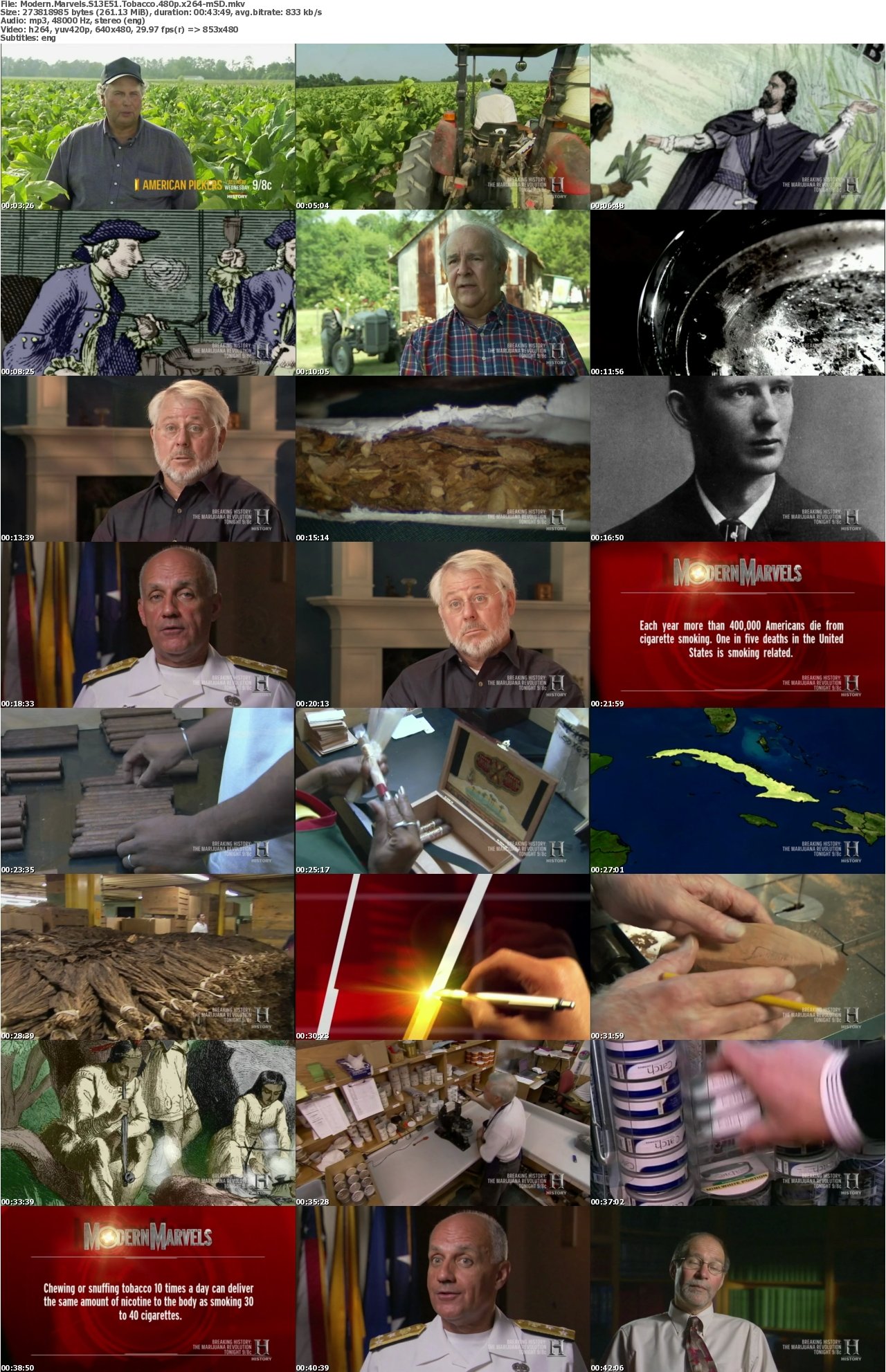 Modern Marvels S13E51 Tobacco 480p x264-mSD