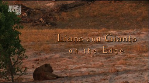Discovery Channel - Animal Planet: Lions and Giants (2015) 720p HDTV x264-CBFM