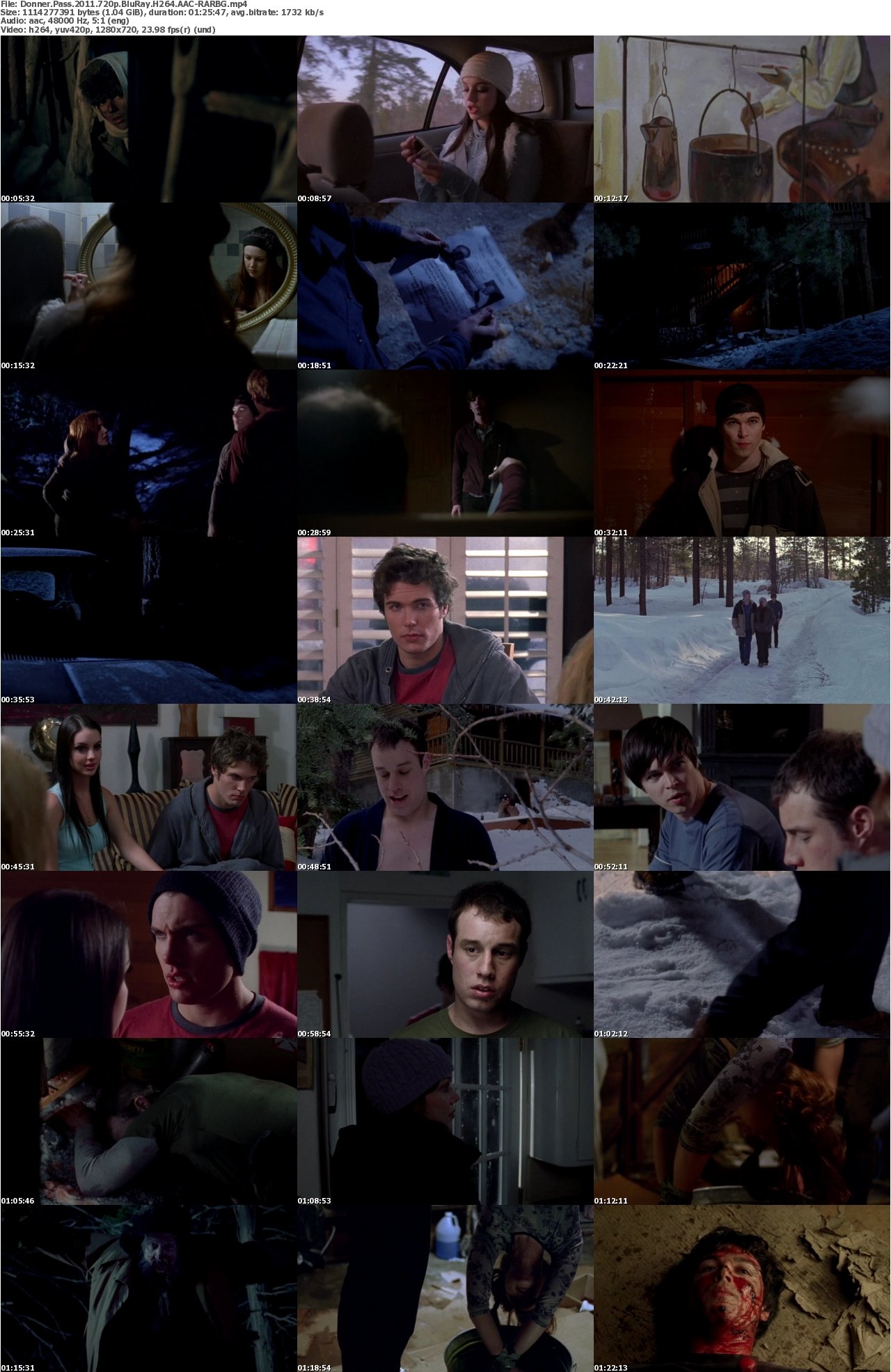 Donner Pass 2011 720p BluRay H264 AAC-RARBG