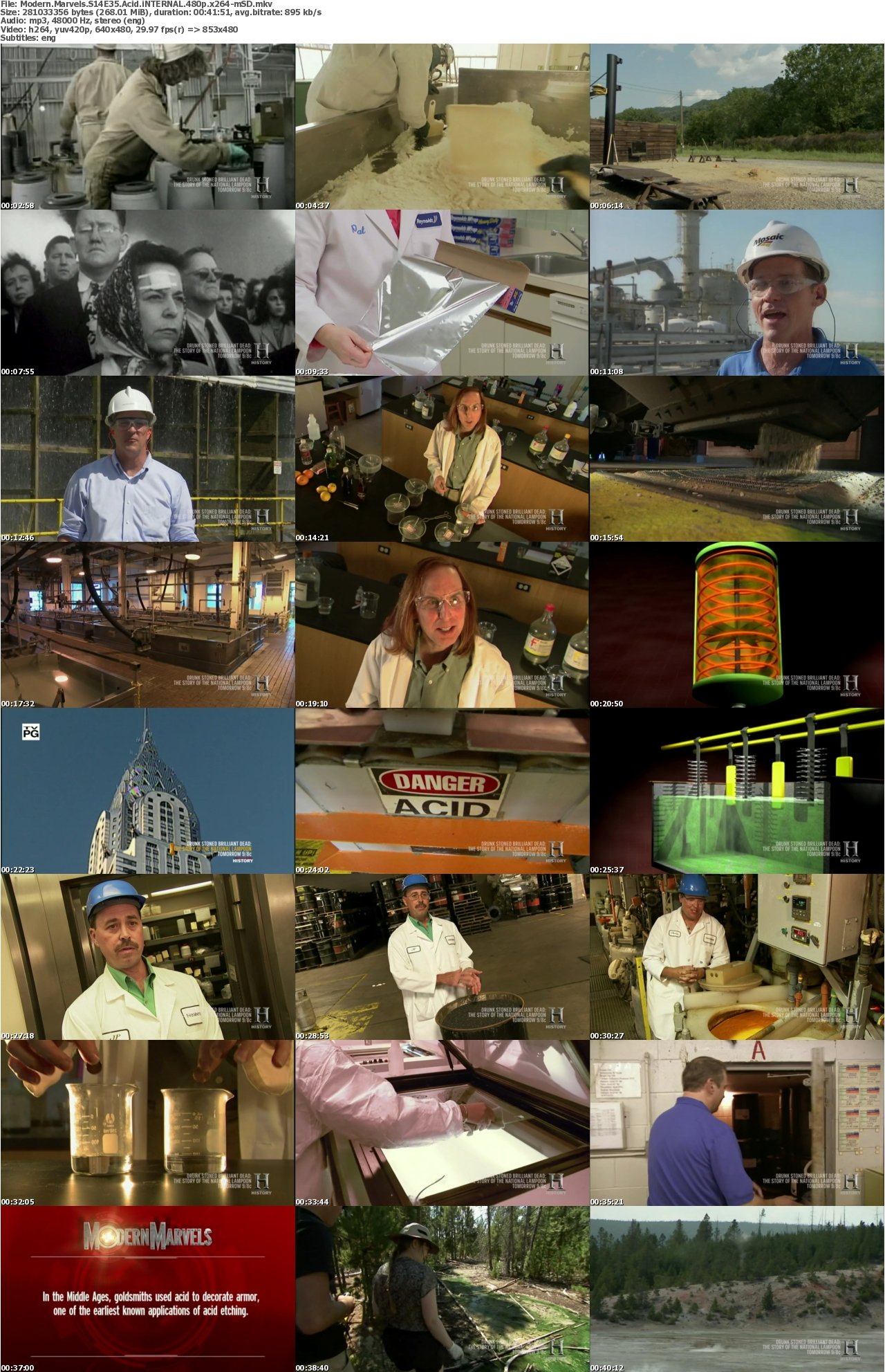 Modern Marvels S14E35 Acid iNTERNAL 480p x264-mSD