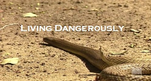 Totally Australia: Living Dangerously (2015) PDTV x264-CBFM
