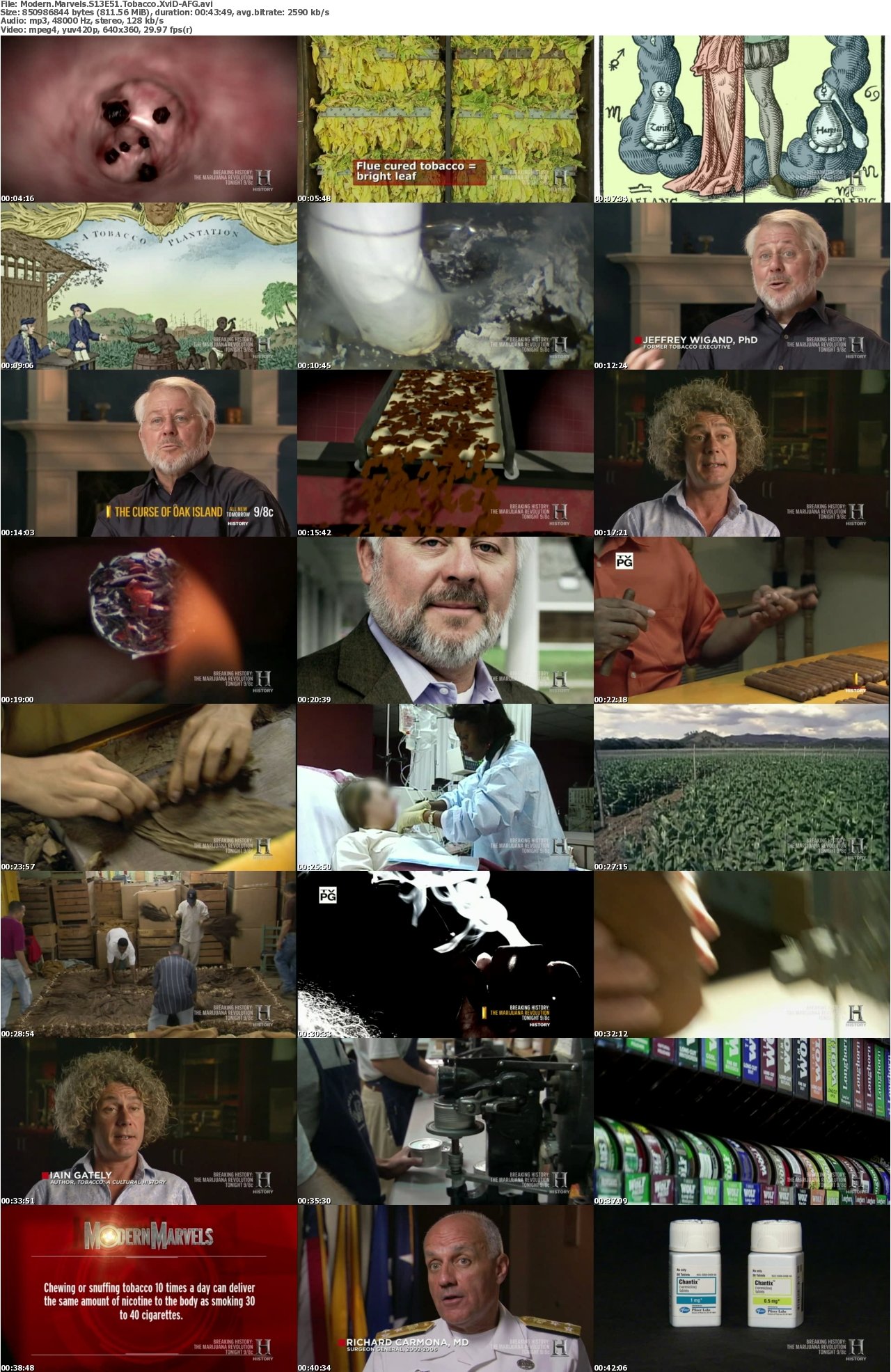 Modern Marvels S13E51 Tobacco XviD-AFG