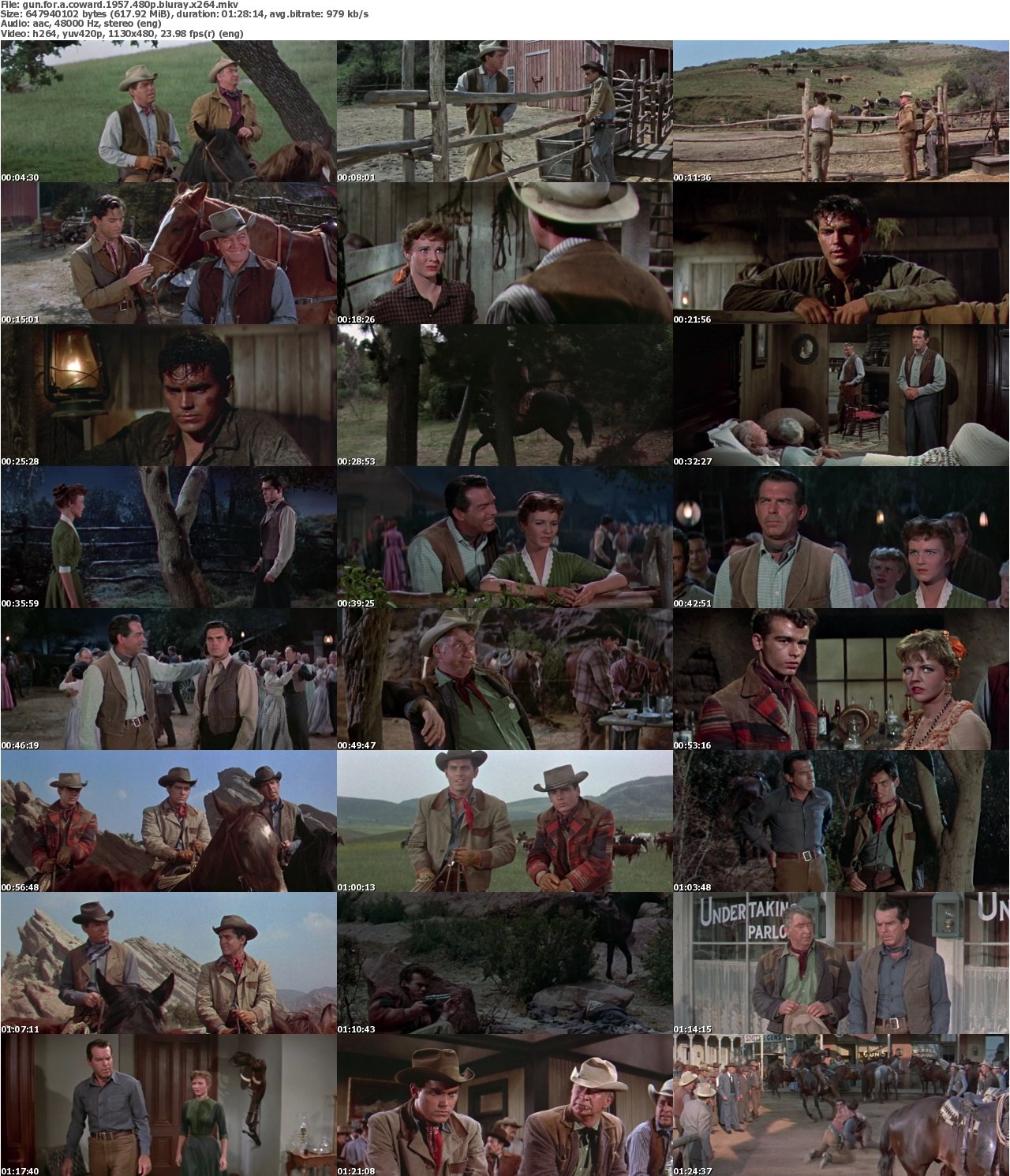 Gun for a Coward 1957 480p BluRay x264