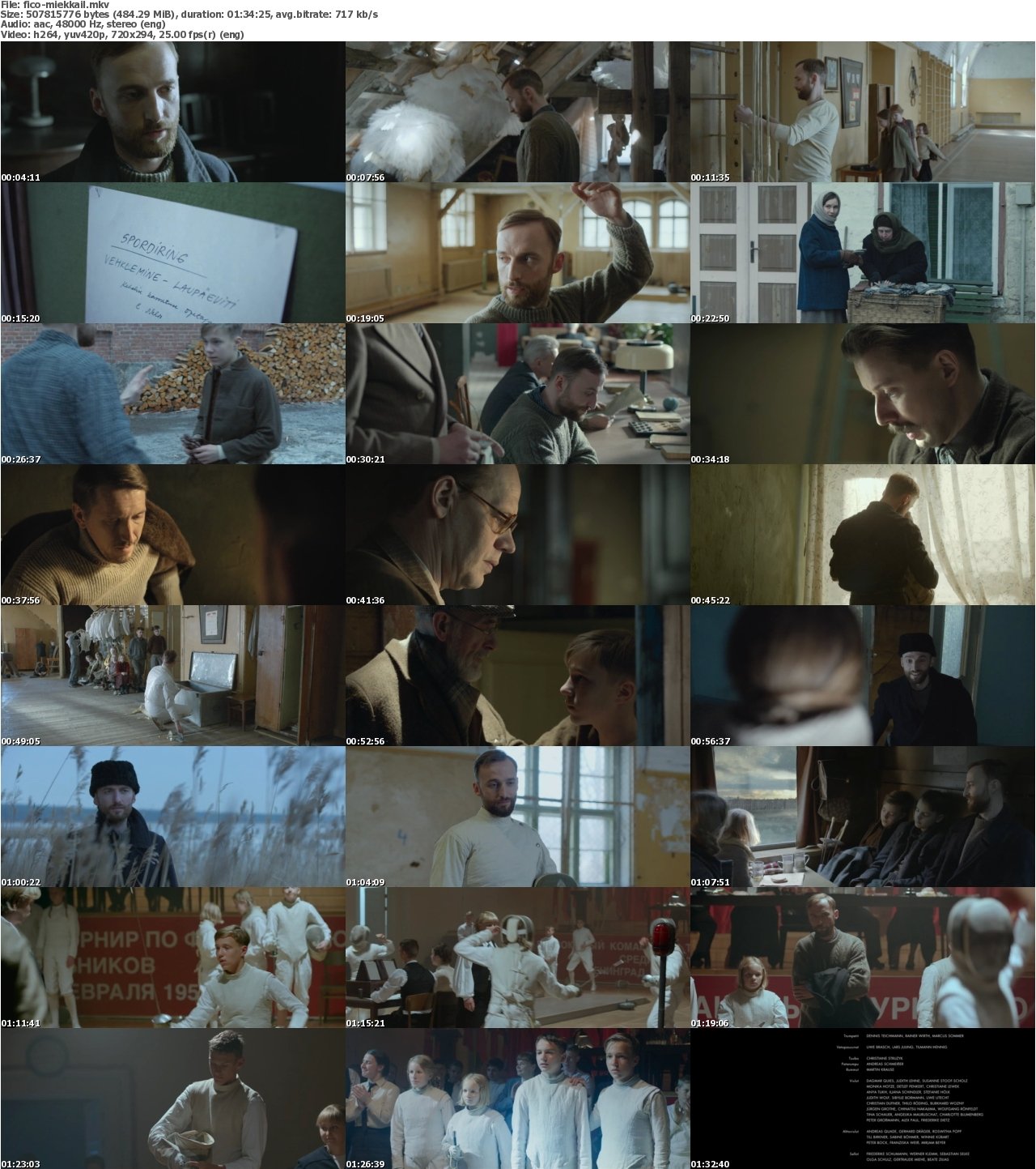 The Fencer 2015 DVDRip x264-FiCO