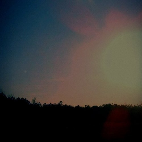 Coppice Halifax - Sediments Reclaimed (2015)