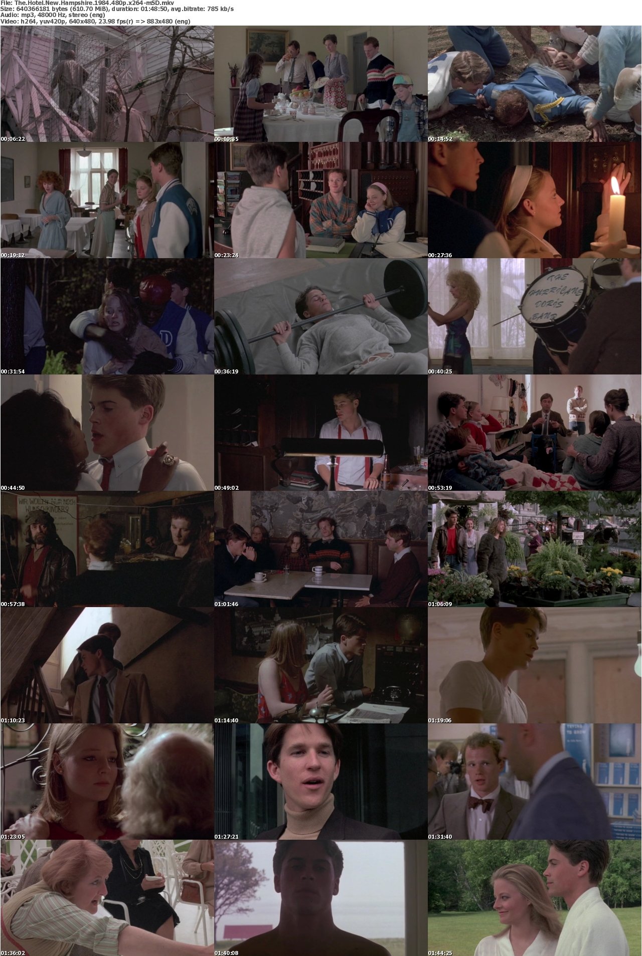 The Hotel New Hampshire 1984 480p x264-mSD