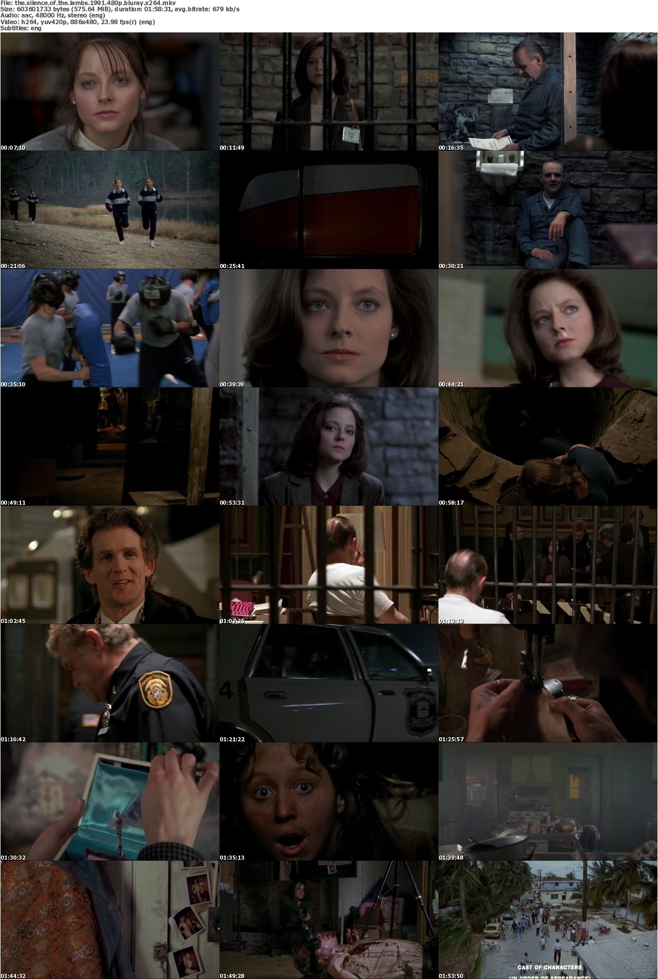 The Silence Of The Lambs 1991 480p BluRay x264