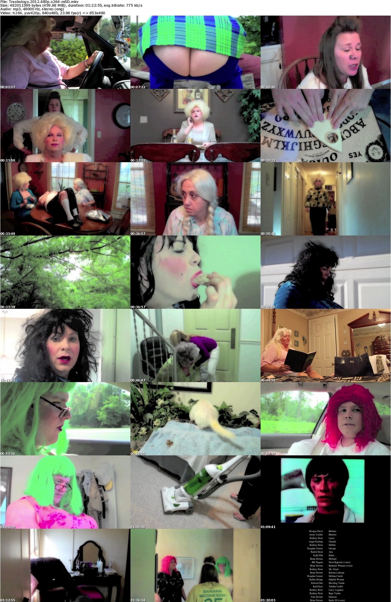 Trashology 2012 480p x264-mSD