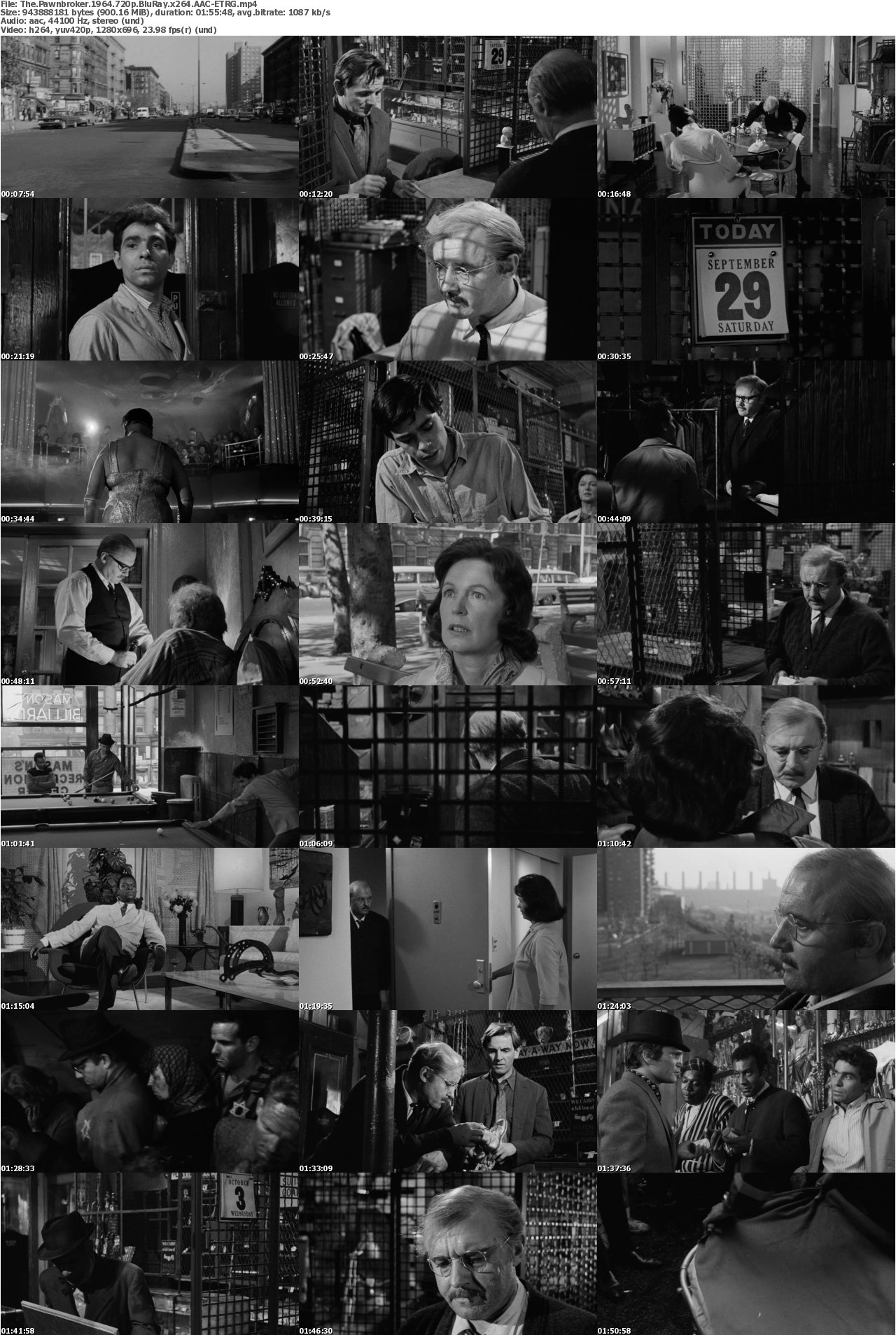 The Pawnbroker 1964 720p BluRay x264 AAC-ETRG