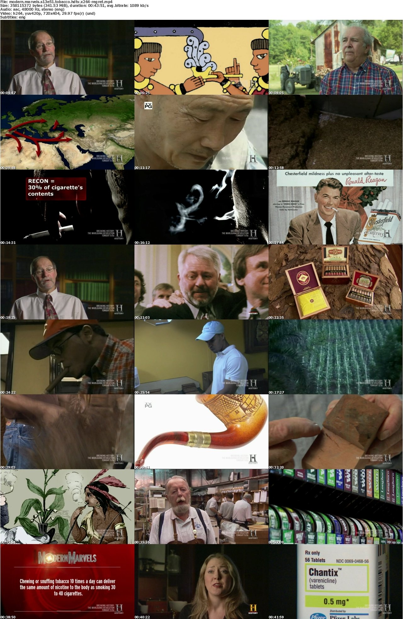 Modern Marvels S13E51 Tobacco HDTV x264-REGRET