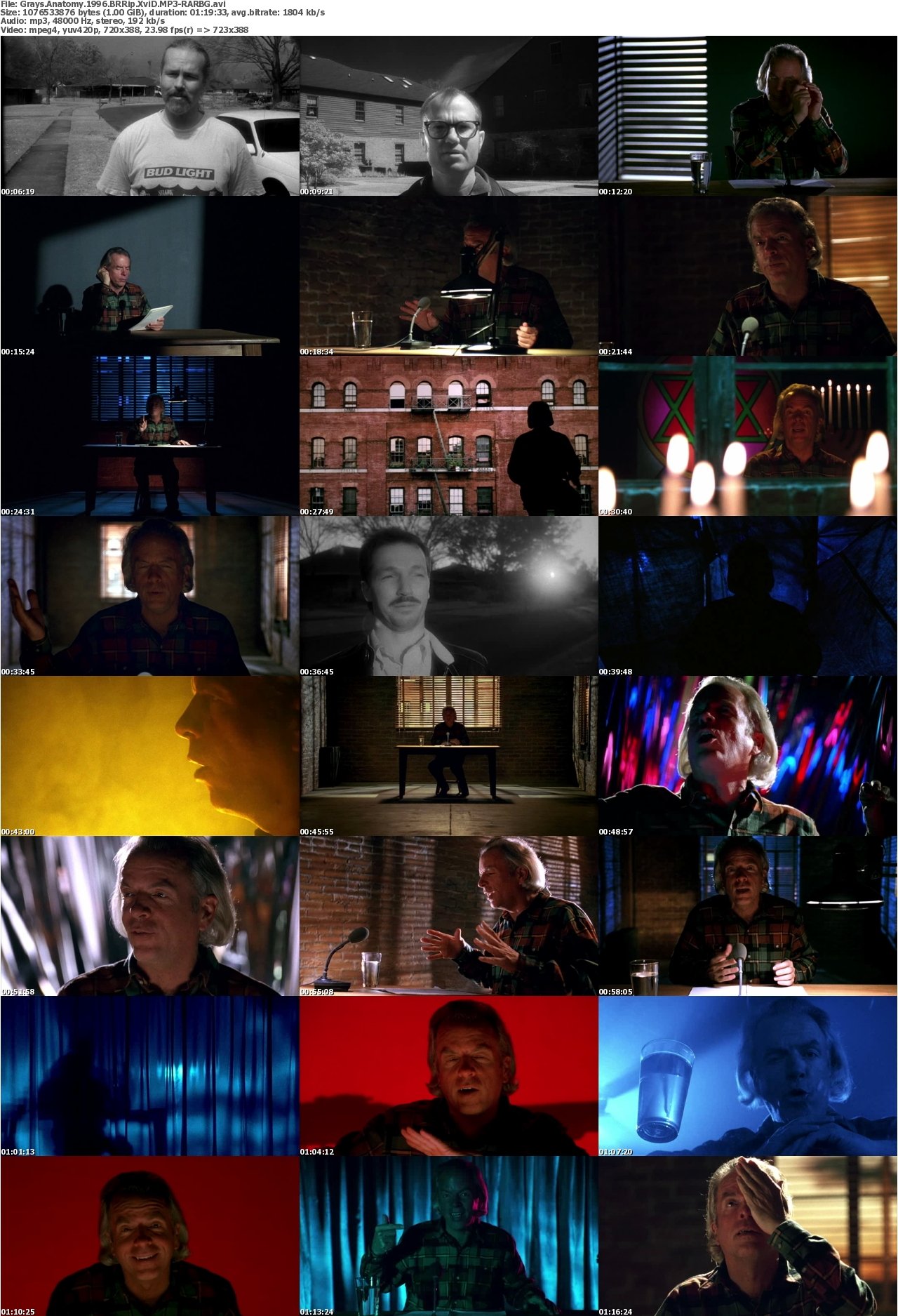Grays Anatomy 1996 BRRip XviD MP3-RARBG