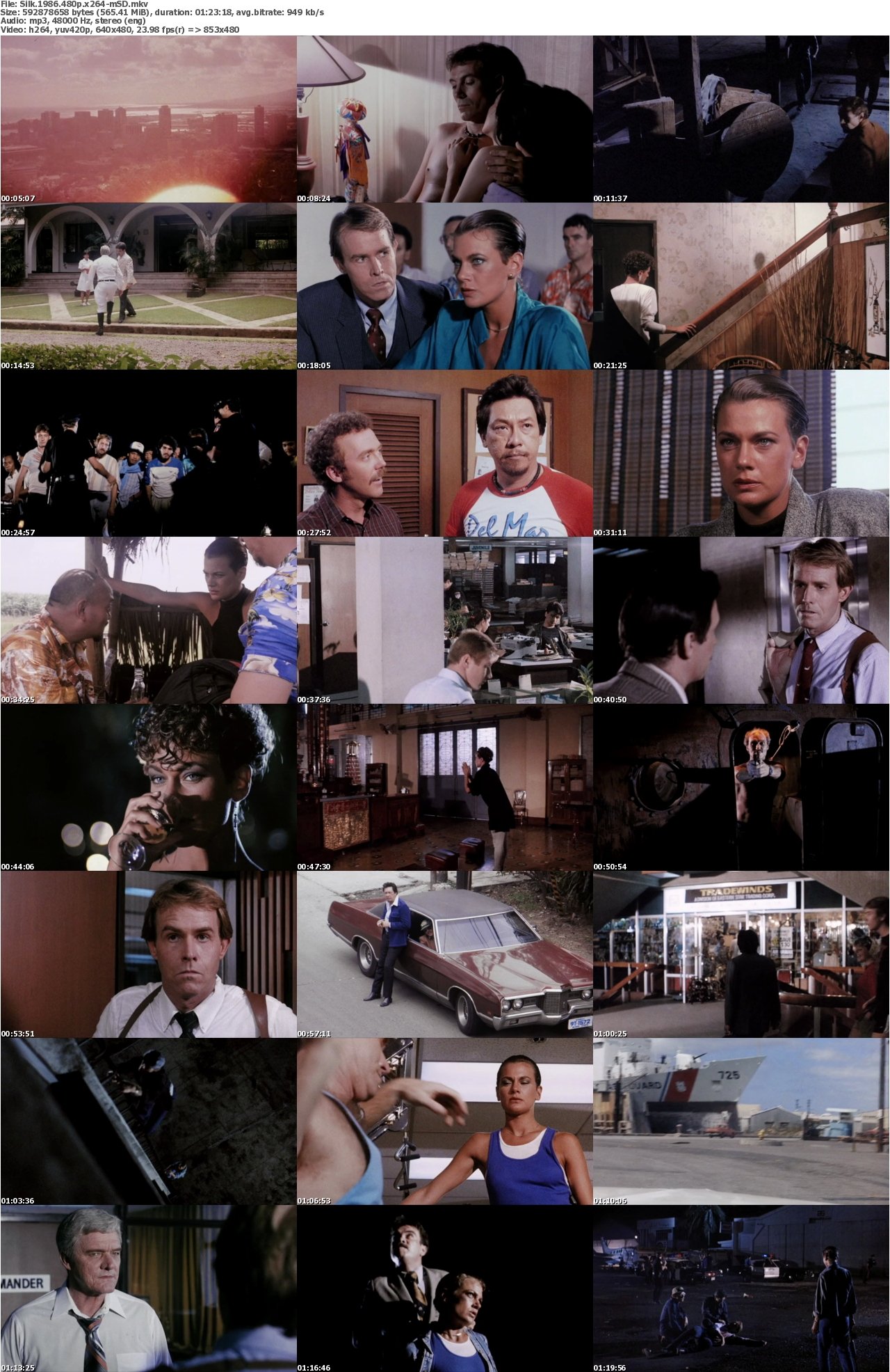 Silk 1986 480p x264-mSD