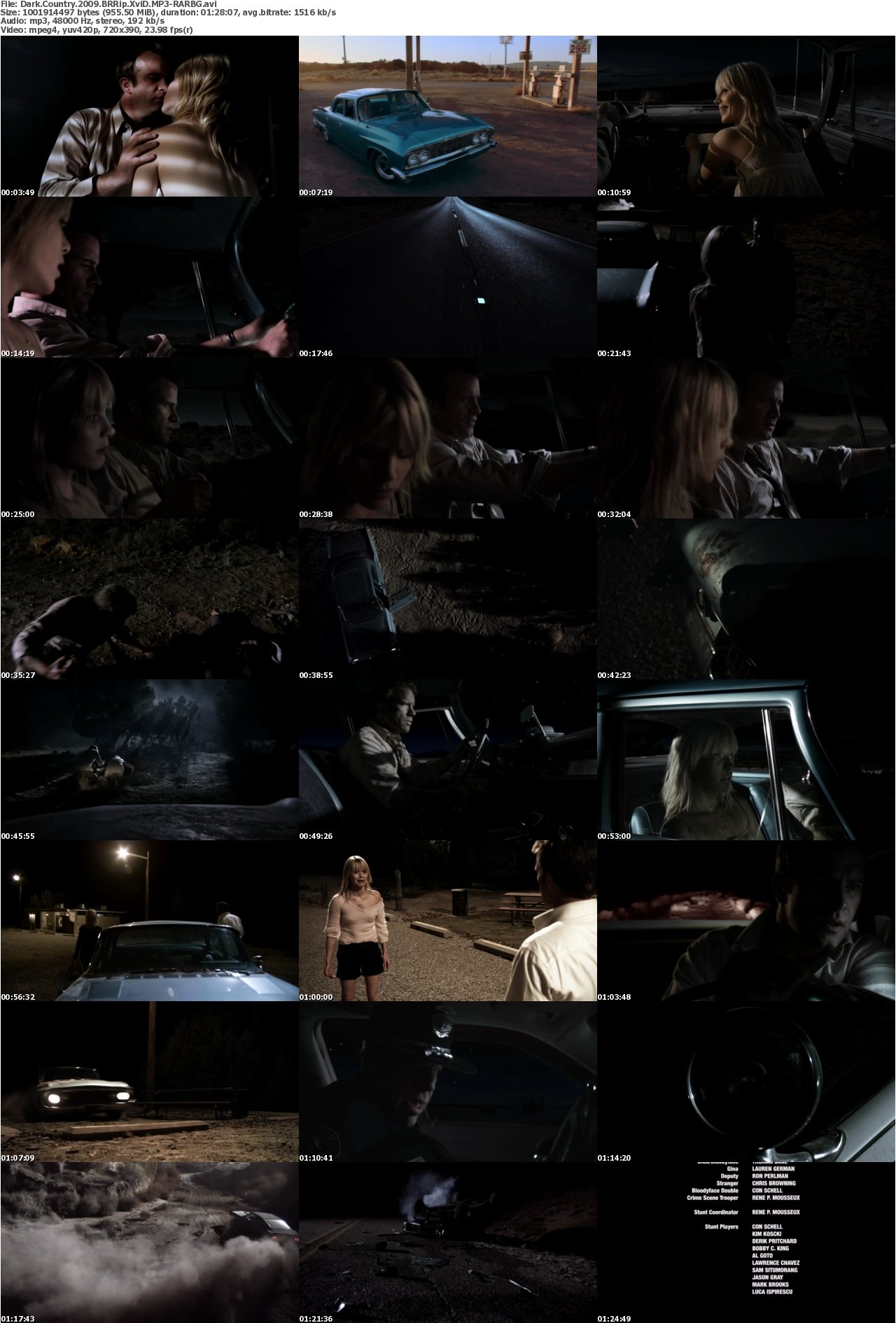 Dark Country 2009 BRRip XviD MP3-RARBG